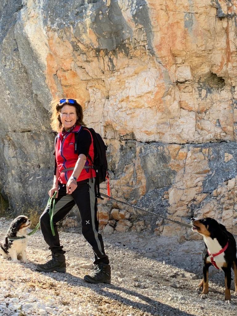 B&B Cristallo Cortina d'Ampezzo Ngoại thất bức ảnh