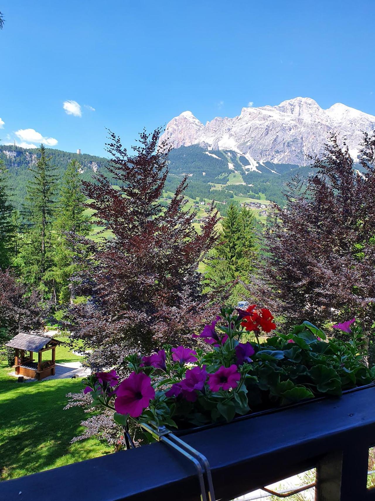 B&B Cristallo Cortina d'Ampezzo Ngoại thất bức ảnh