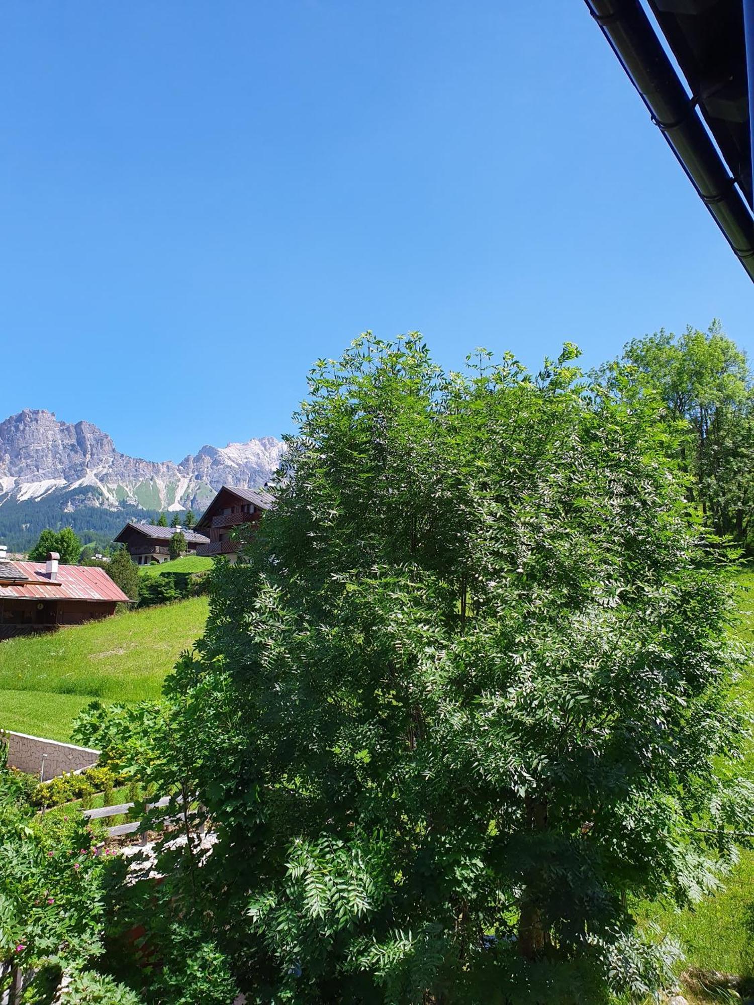 B&B Cristallo Cortina d'Ampezzo Ngoại thất bức ảnh